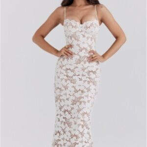 Elegant Lace Women’s Dress